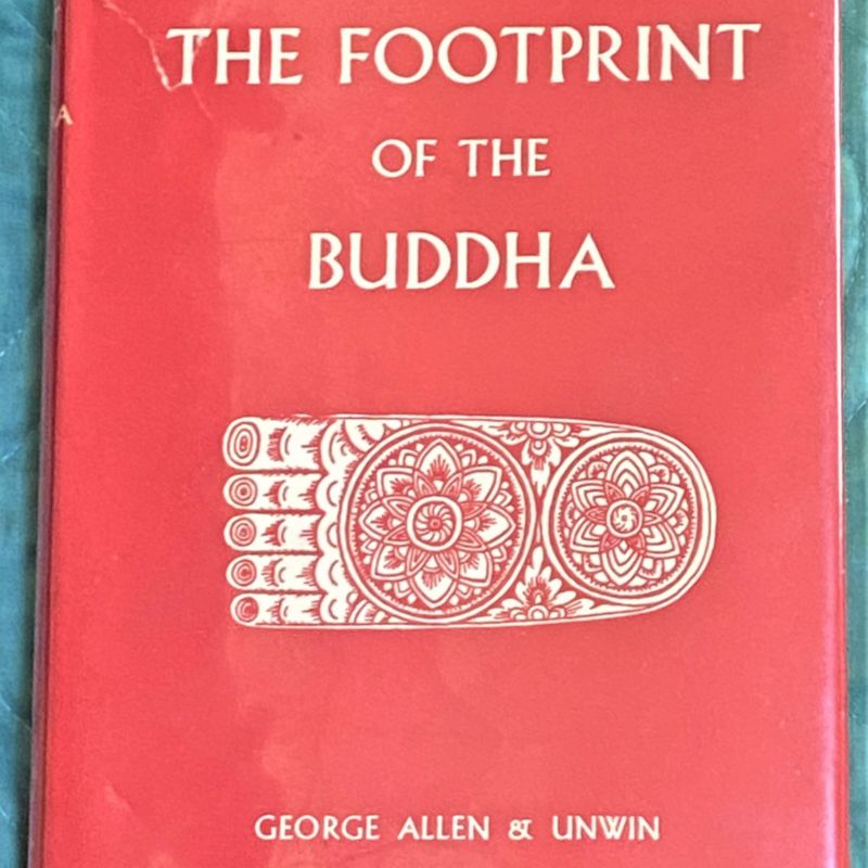 31426726576.jpg