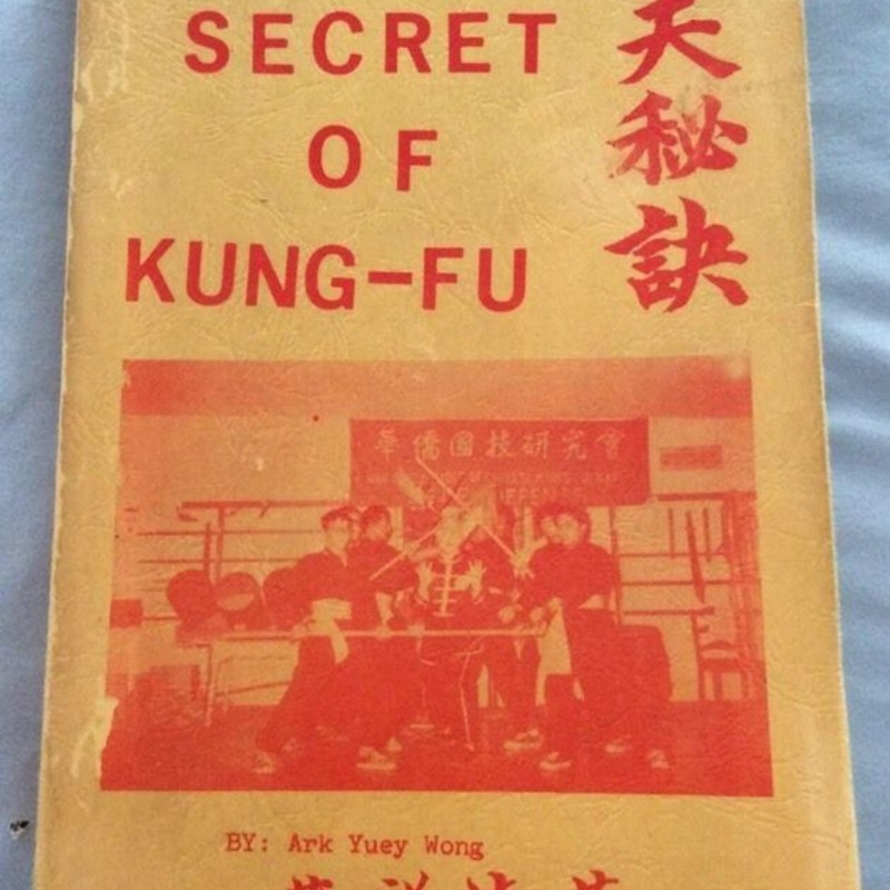 secret-kung-fu-ark-yuey-wong_1_63d7b37033846c58387e471e76d51ecc.jpg