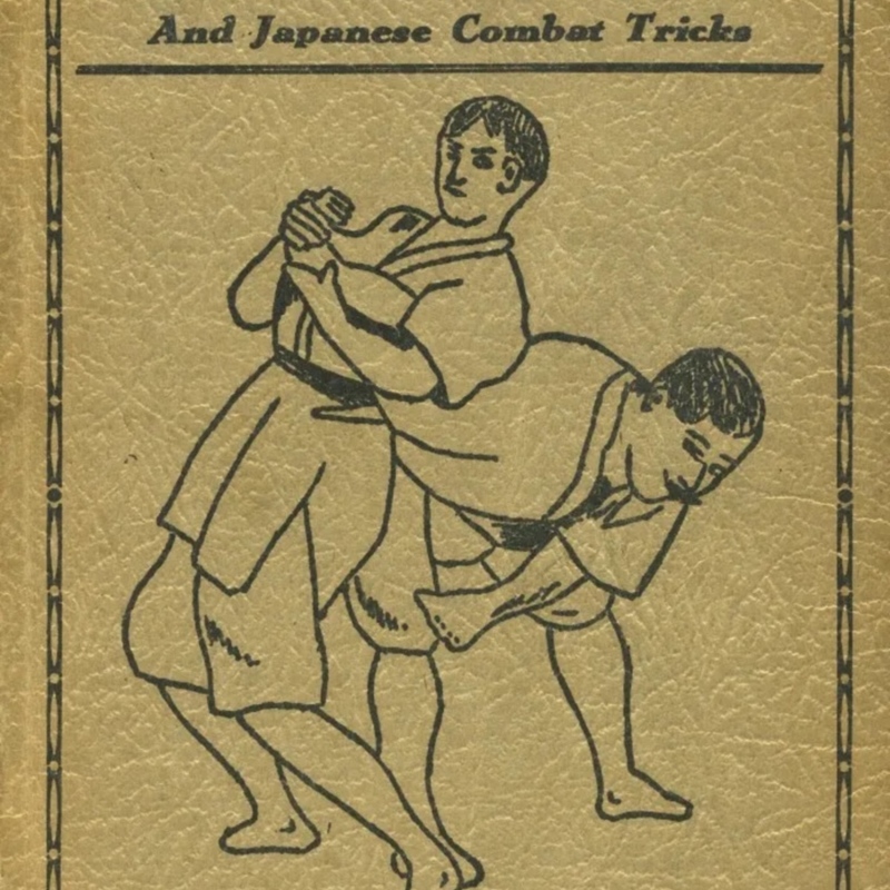 2a34d8.jpg
