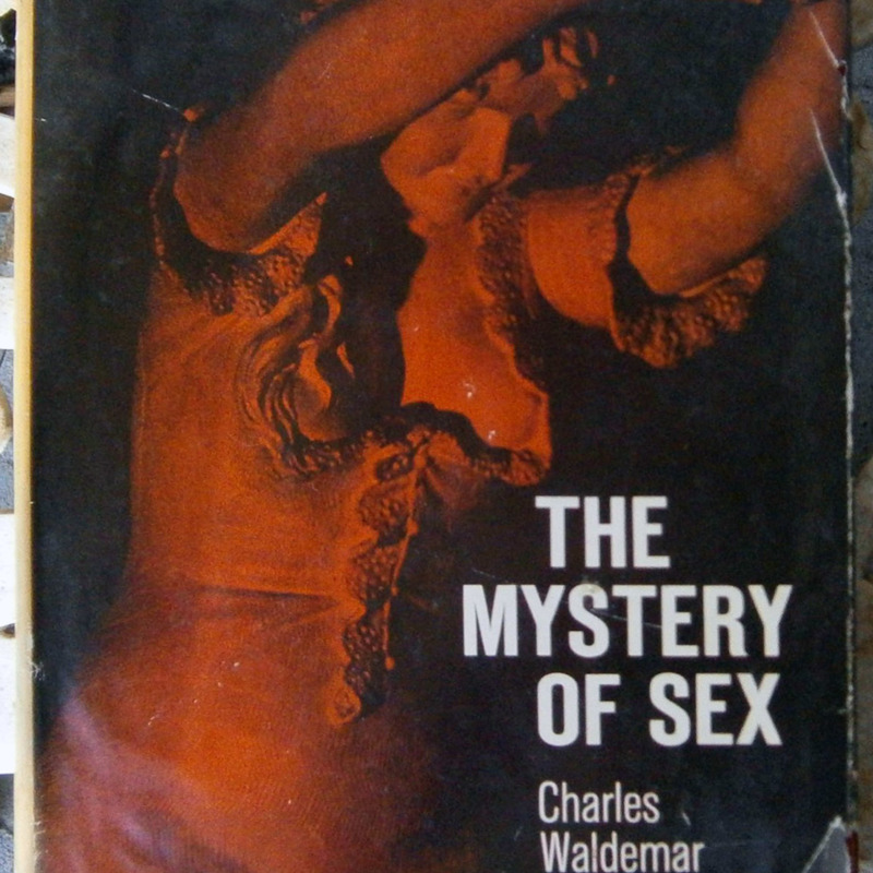91-wVLRx16L.jpg