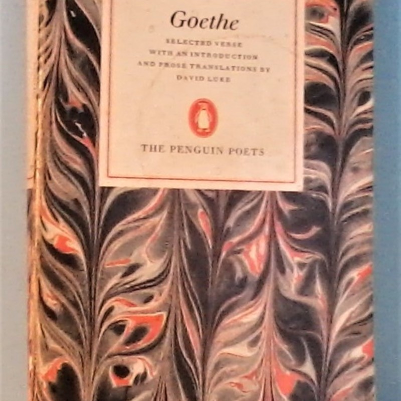 31378131025.jpg