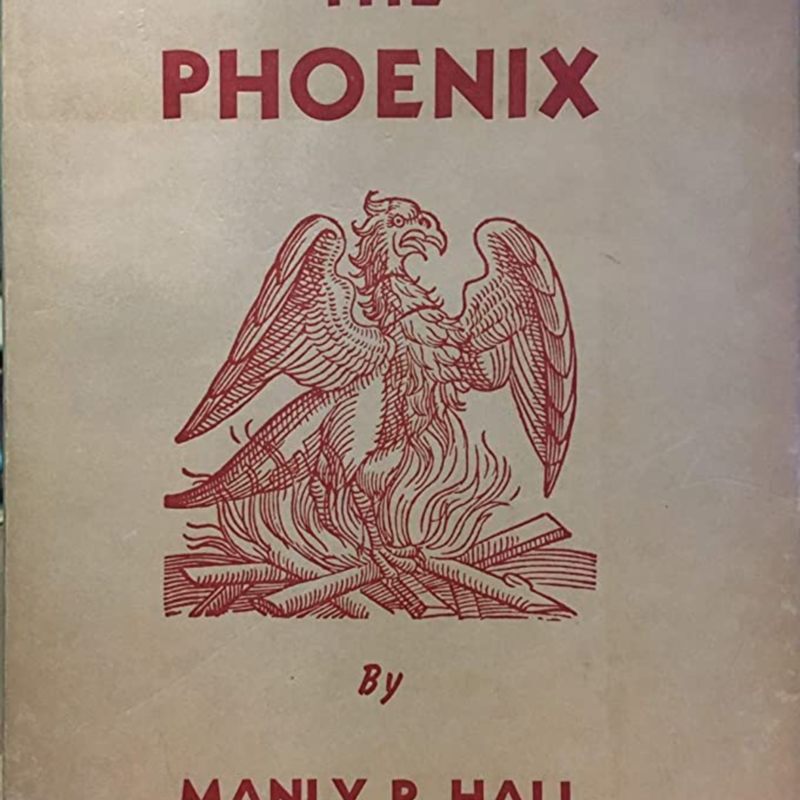 71Wy6hBfOyL._AC_UF1000,1000_QL80_.jpg