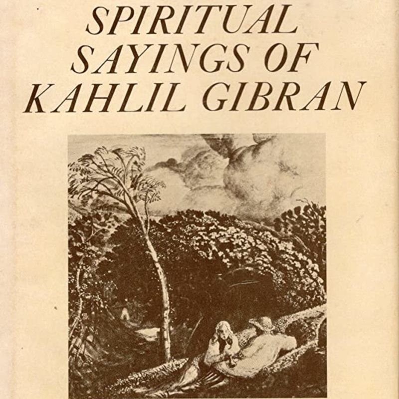 91iqlEi1eBL._AC_UF1000,1000_QL80_.jpg