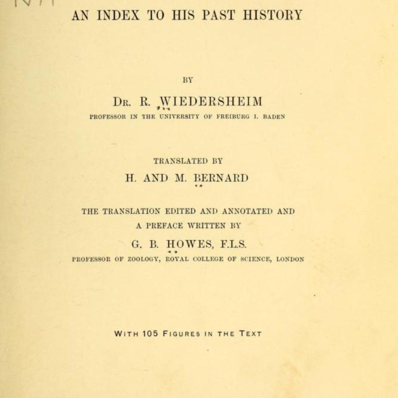 structureofmanin00wied_0009.jpg