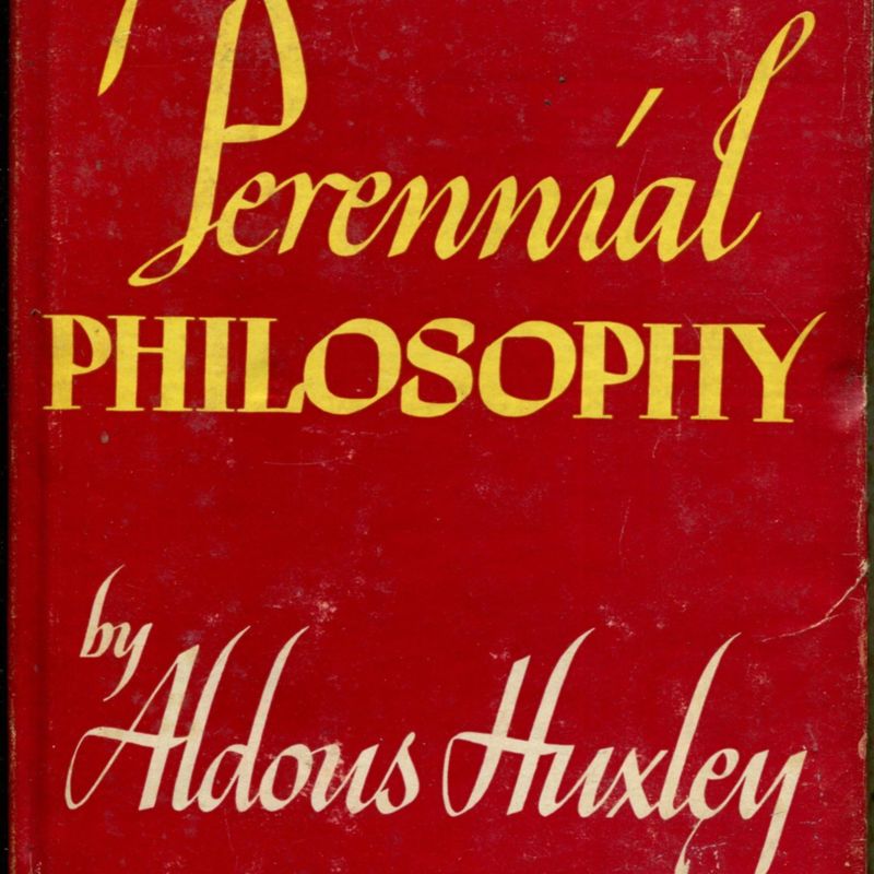 881458400.0.x.jpg