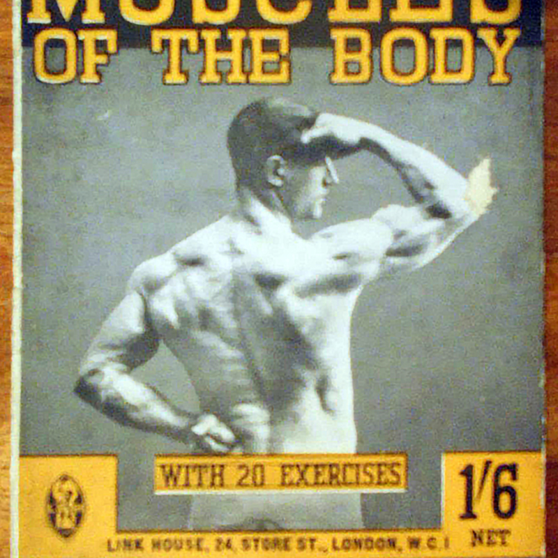 muscles.jpg