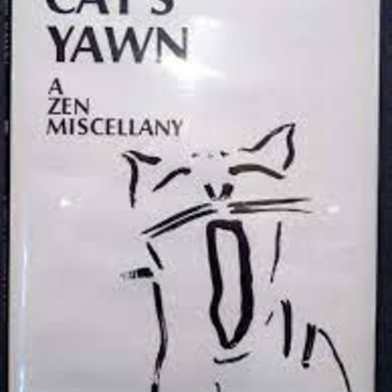 yawn.jpg