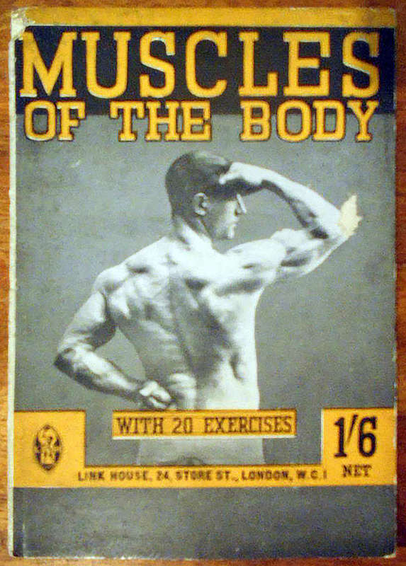 muscles.jpg